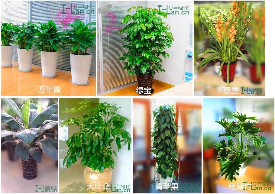 GG扑克-GGPOKER中文版-GG扑克下载