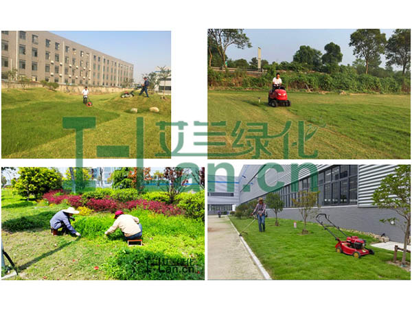 都会园林绿化的要点有哪些？？？？